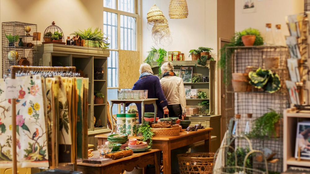 Bluebirds in the Backyard