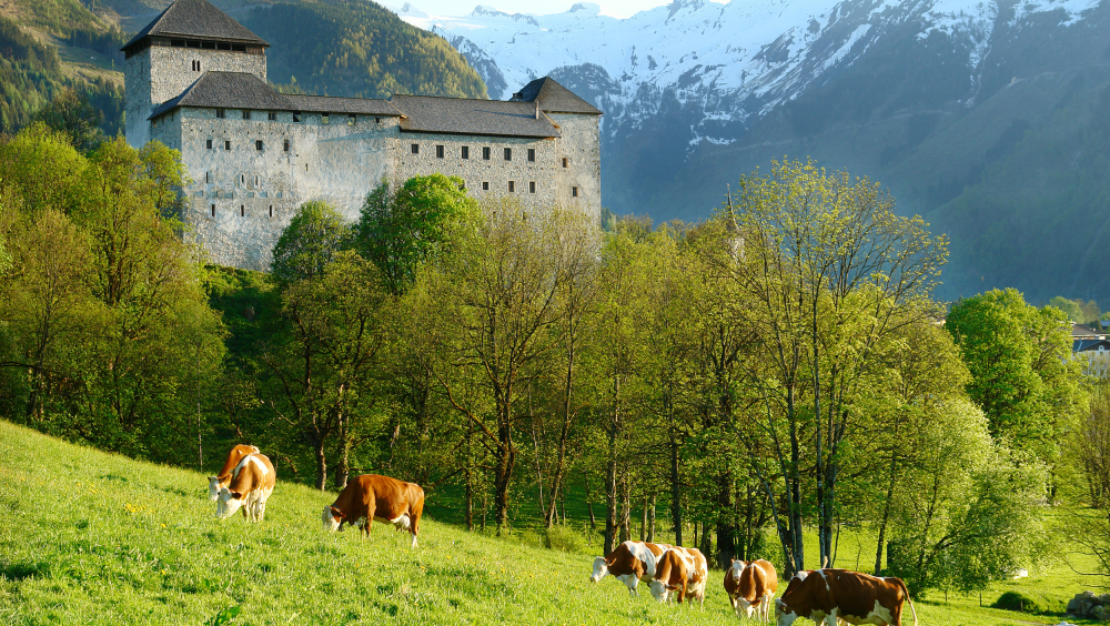 Burg Kaprun