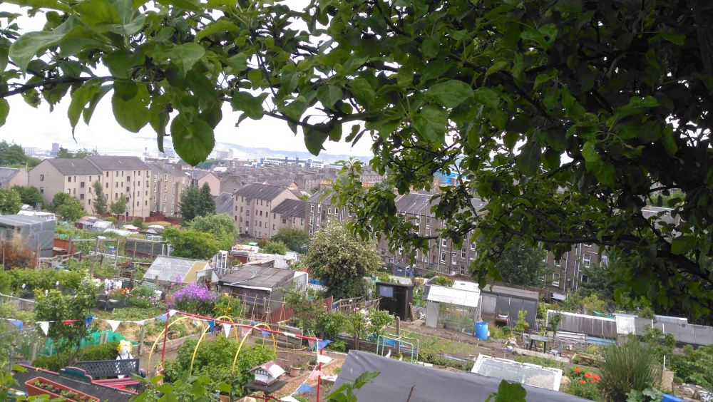 City Road Garden Associations