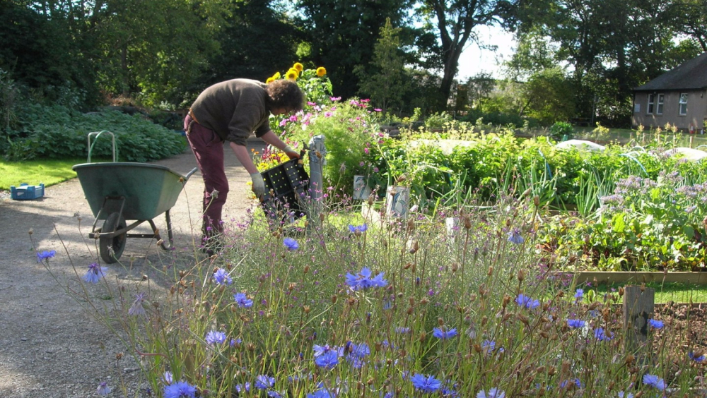 Royal Edinburgh Hospital Community Gardens