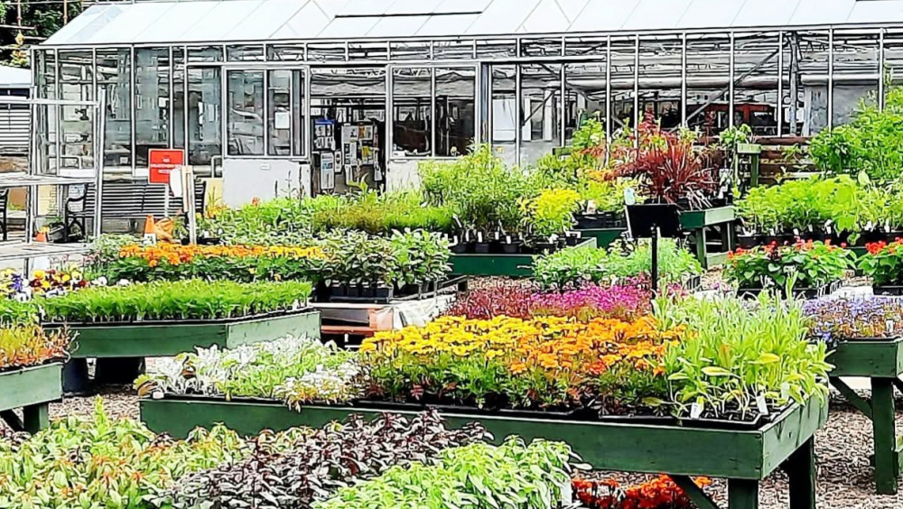 City of Edinburgh Council, Inch Plant Nursery