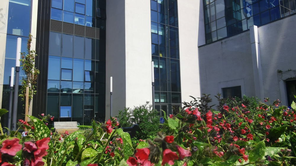 School of Life Sciences, University of Dundee