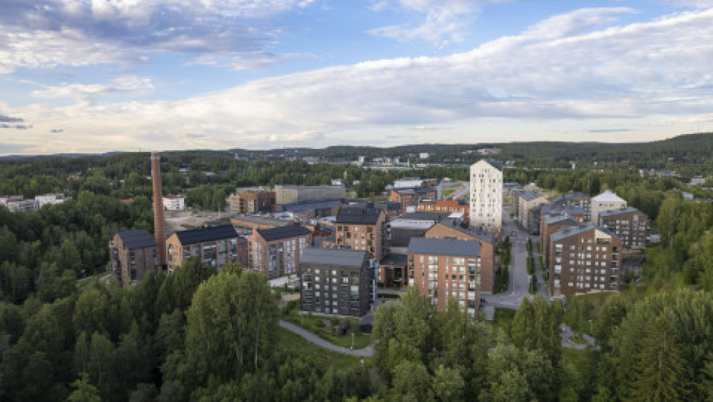 Luotsikävely Kankaan alueella