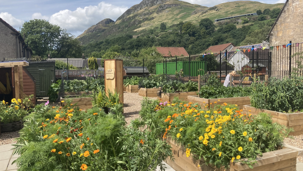 Menstrie Community Garden