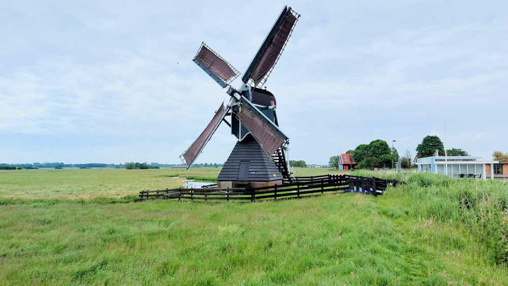 Nieuwe Hofmolen