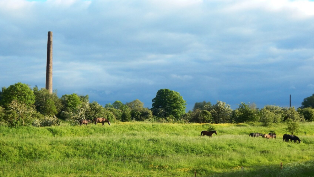 Restanten Steenfabriek Jufferswaard