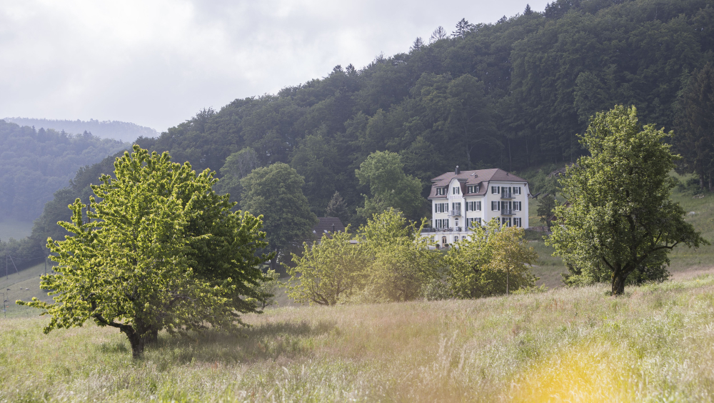 VON DER KURPENSION ZUM HISTORISCHEN HOTEL