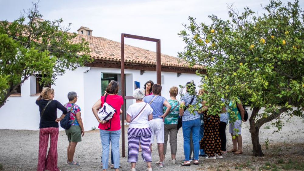 Visita Guiada al Mas Miró