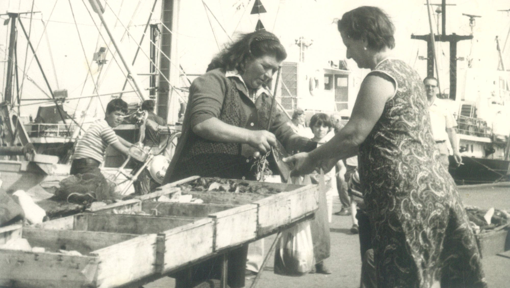 GEP 2025 visita guidata ai Cantieri della Civiltà Marinara di Porto San Giorgio