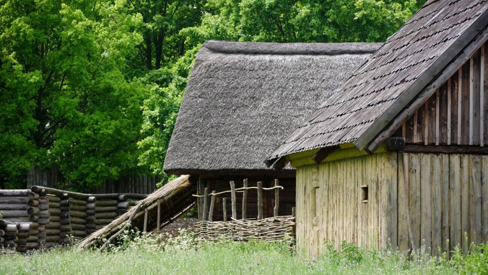 Wernisaż prac malarskich Liceum Sztuk Plastycznych im. Tadeusza Kulisiewicza w Kaliszu Organizatorzy