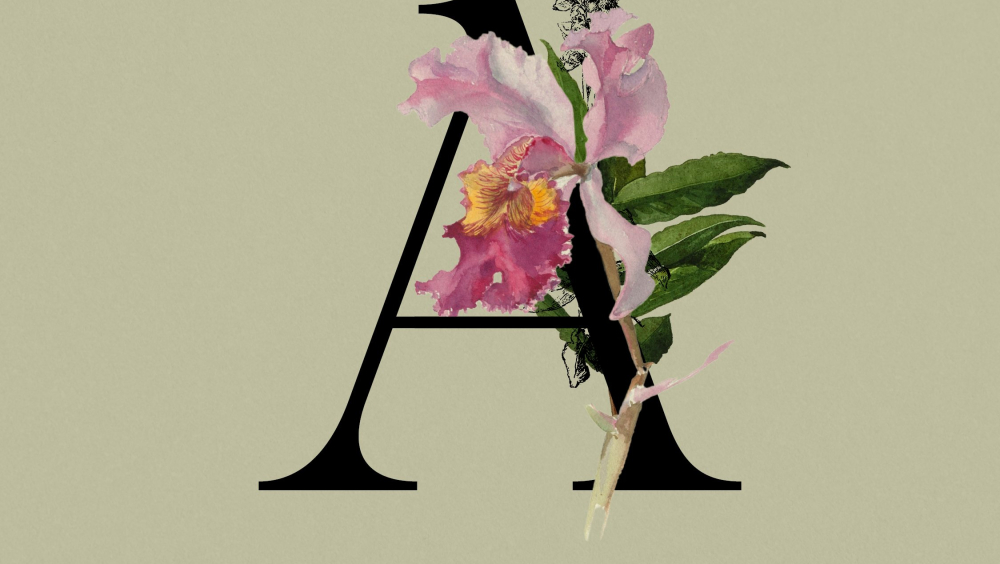 Amélia de Orléans e de Bragança, o espólio da Rainha - exposição e concerto