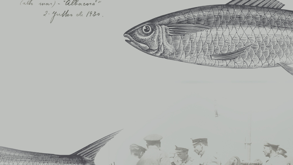 Património com sabor a mar