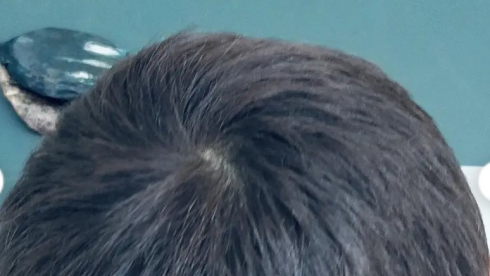 Impressões do Museu