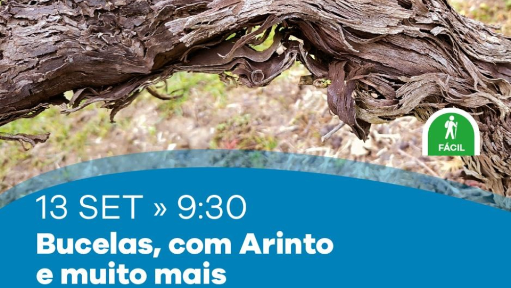 Paisagens com História. Bucelas, com Arinto e muito mais