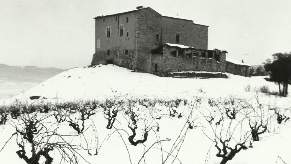 Visites guiades al Castell de Plegamans