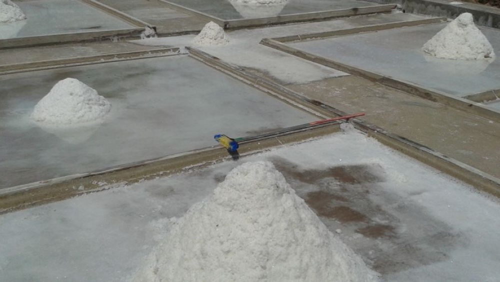 Visita guiada al Salí de Privà