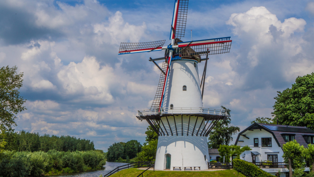 Molen De Vlinder, Deil