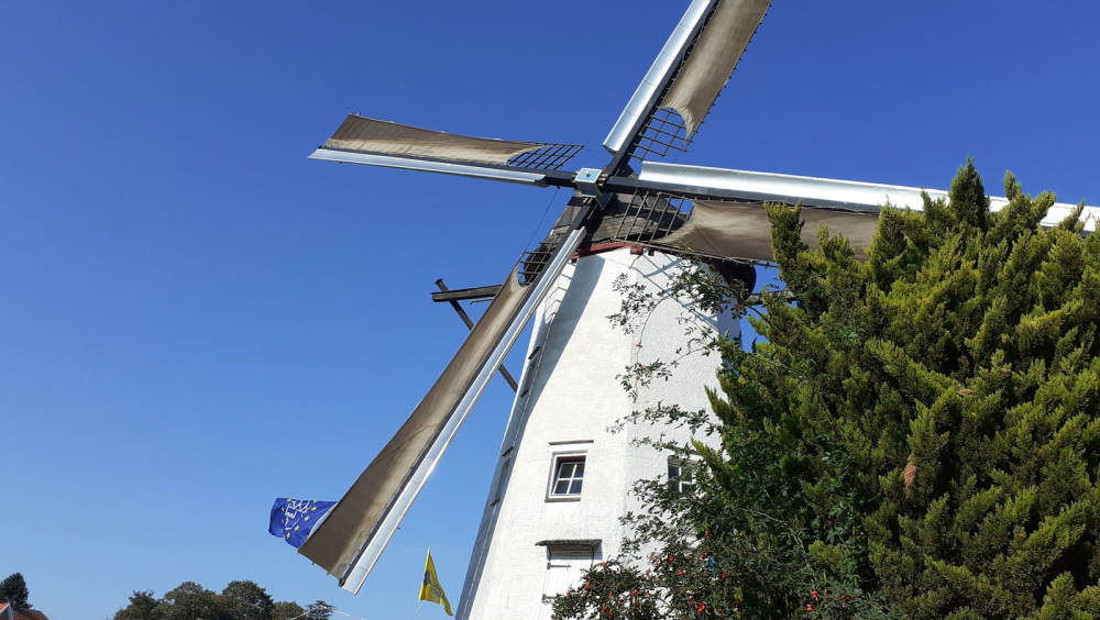 De Witte Molen wenkt
