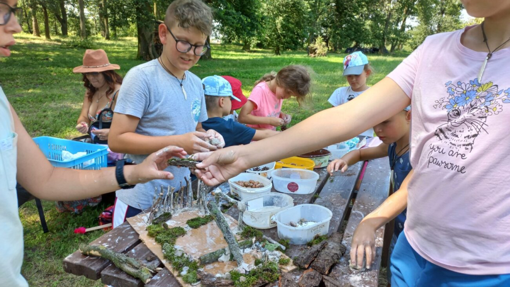 EDD - W stronę architektury - W stronę grodu – architektura wałów i obronnej myśli Organizator