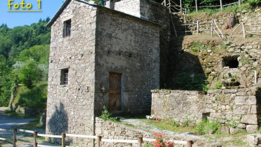 Visitando il Mulino: storia e cultura del territorio - GEP 2025