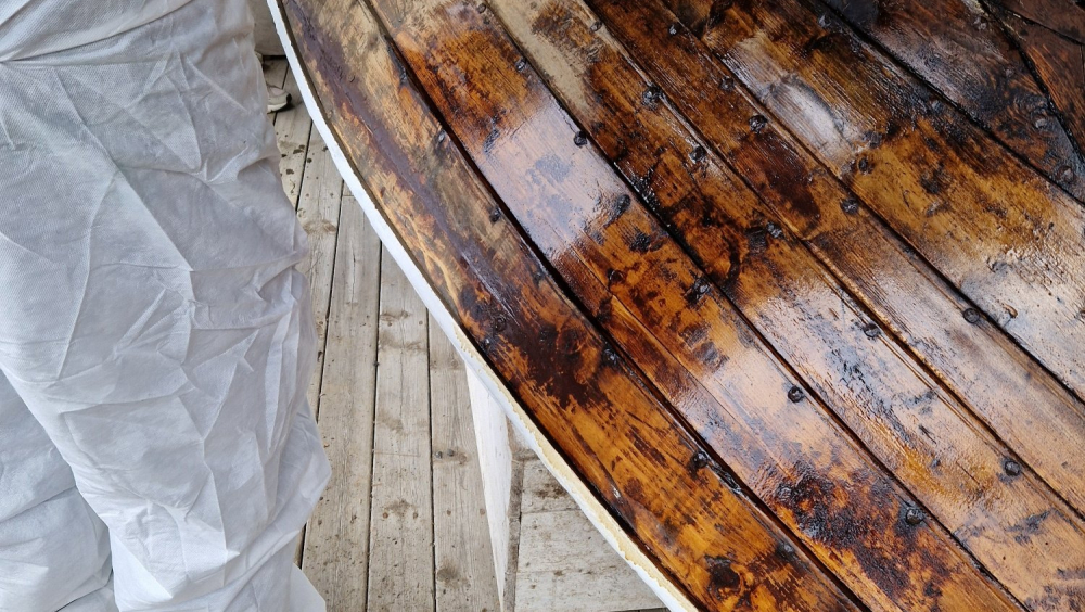 Ro på havet og et fesk