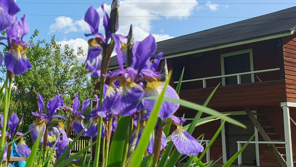 Vaiveron myllytilan rakennusperintöpäivä