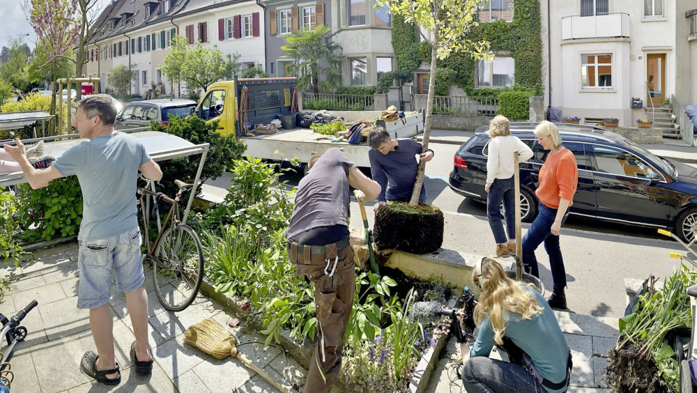 BÄUME BRAUCHT DIE STADT!