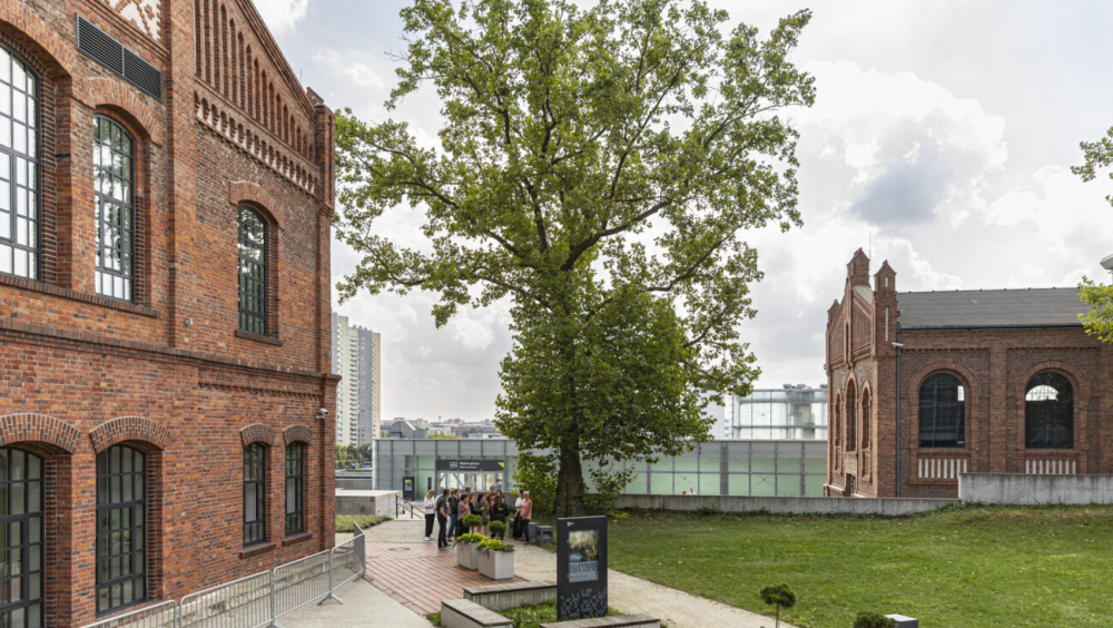 Byzuch u Ferdynanda Organizator