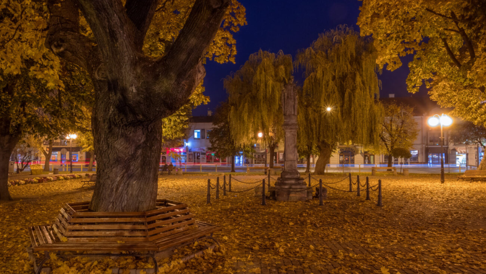 Dziedzictwo Żydów włoszczowskich - kultura i architektura Organizator