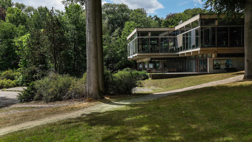 Gegidste wandeling in het groen