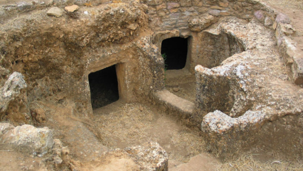 Lavori in corso e nuove scoperte – visita guidata a tema