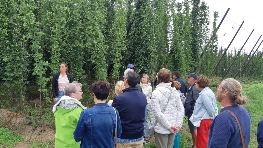 De moderne hopast bij Belhop