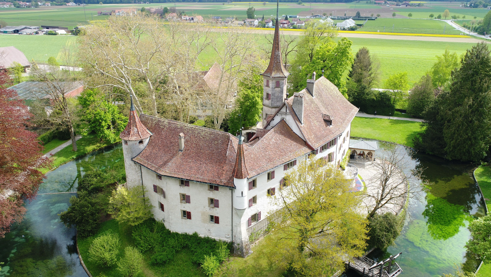 DIE PFEFFERBÜCHSE VON SCHLOSS LANDSHUT UND ANDERE KURIOSITÄTEN