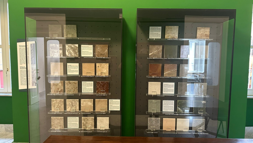 GEP 2025 | Apertura straordinaria del Centro Musei delle Scienze Naturali e Fisiche