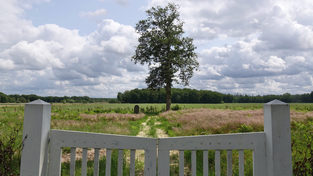 Joodse begraafplaats