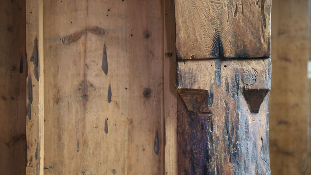 VOM BAUM ZUM JUBILÄUM