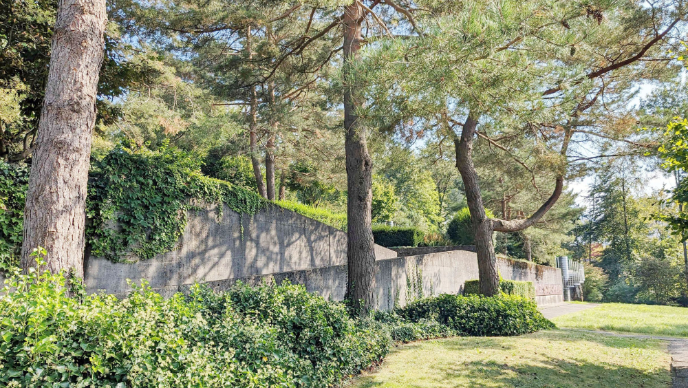 DER FRIEDHOF HORW VON WILLI NEUKOM