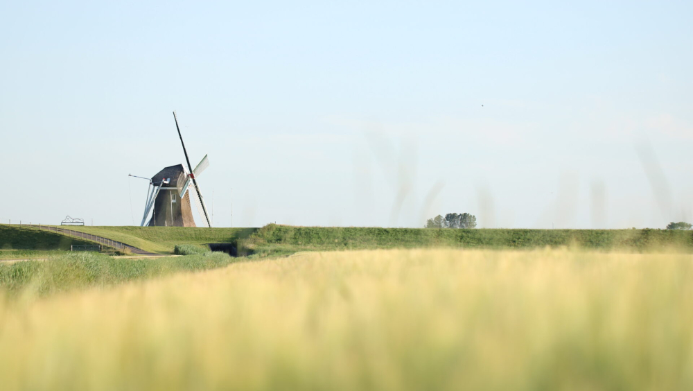 Poldermolen(complex) De Goliath