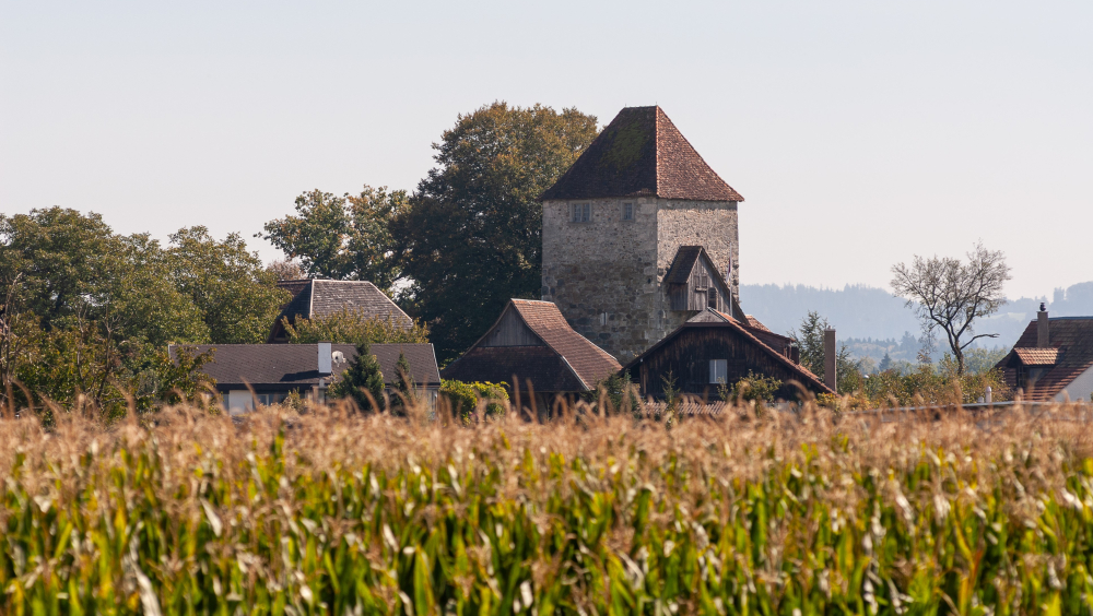 WIE KAM DAS OFENHAUS ZUM TURM?