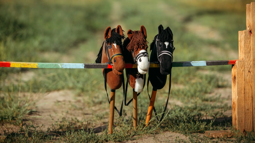 Hobbyhorsing in Park Nieuwe Koers