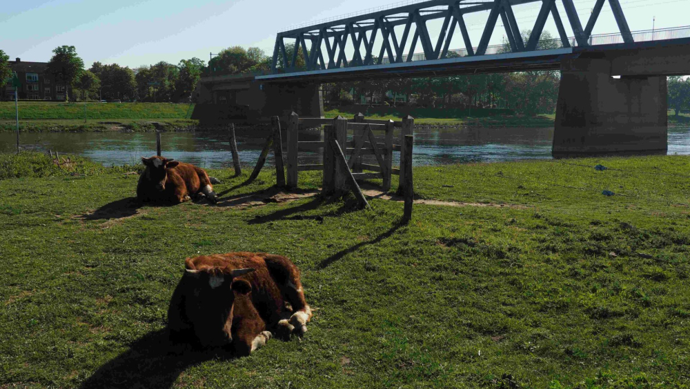 Wandeling Stadsland en Landgoed Sterrebosch