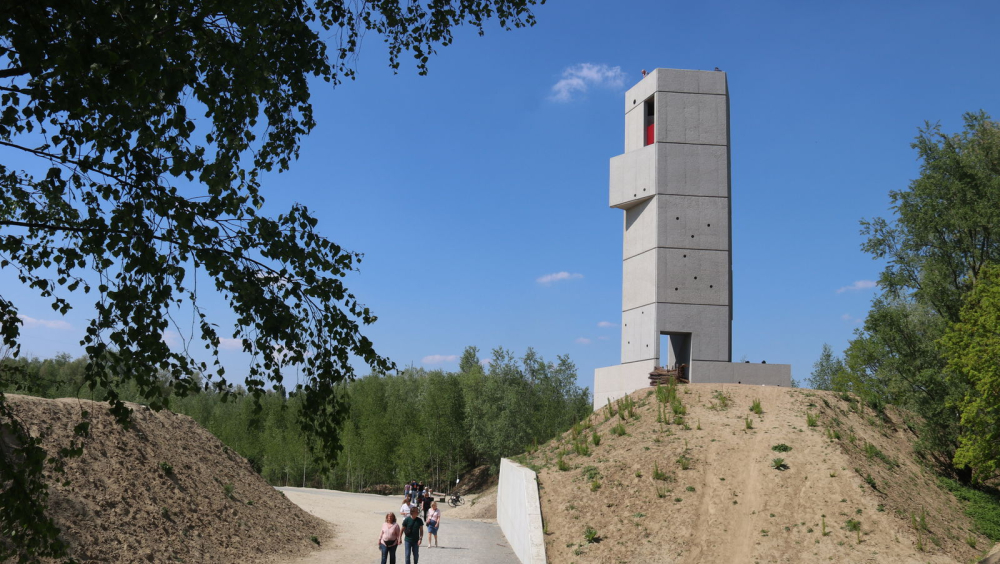 Gegidste rondleidingen in het Wonderwoud