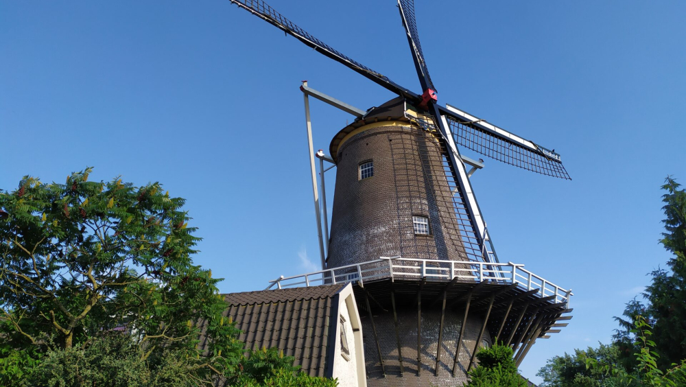 De Nieuwe Molen