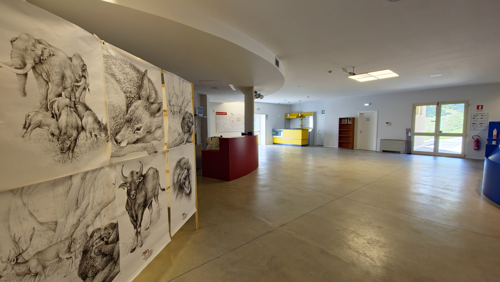 GEP 2025 - Museo Paleontologico "Luigi Boldrini" Pietrafitta. Apertura serale