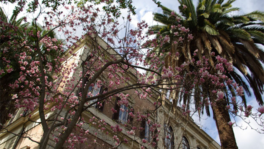 Istituto Centrale per la Patologia degli Archivi e del Libro - Dal giardino alla carta: vieni a scoprire l'Icpal - GEP diurna