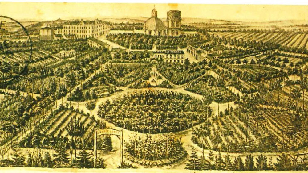 Groene Grondleggers: De Michiels-dynastie en het tuinlandschap van Scherpenheuvel