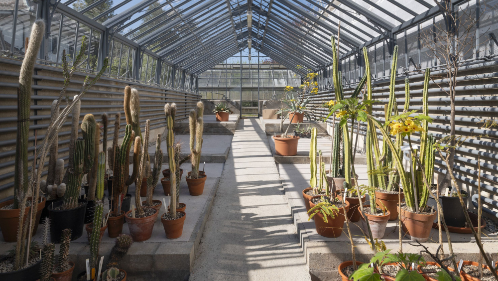 LES SERRES DE PREGNY : UN VOYAGE À TRAVERS LE TEMPS