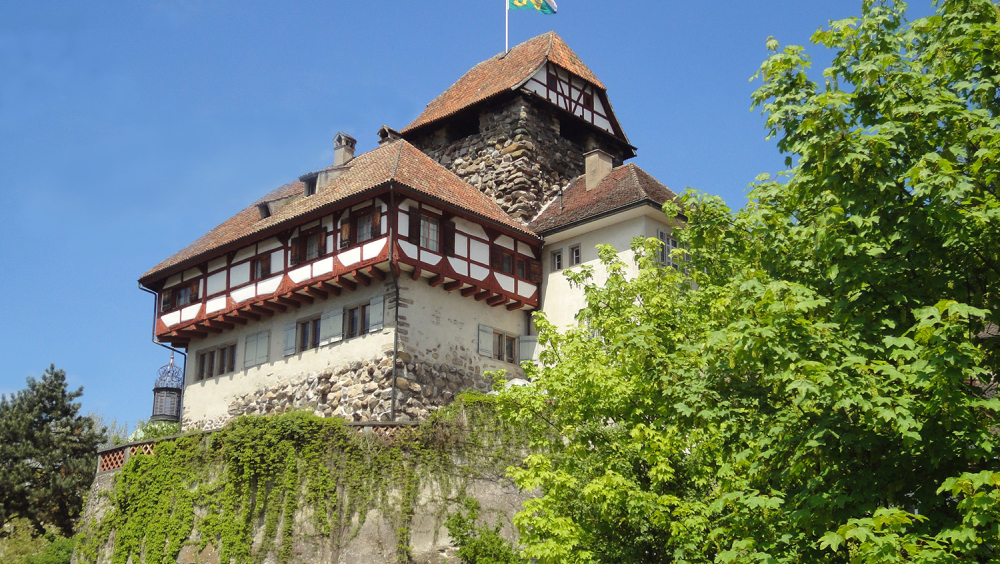 MUSEUM STATT ABBRUCH: SCHLOSS FRAUENFELD