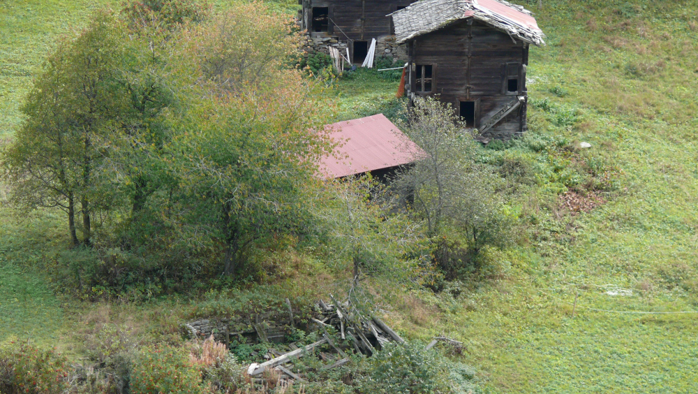 SCHEUNEN UND STADEL: ZERFALLEN LASSEN ODER UMNUTZEN?