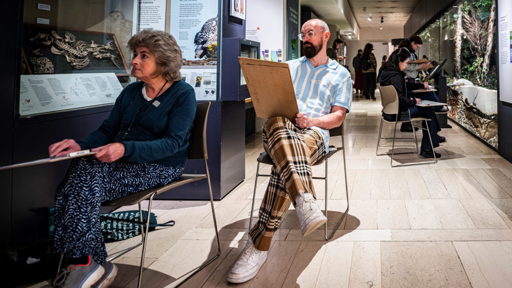 The Sunday Sketch – Early People Gallery